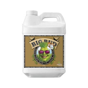 Advanced Nutrients Big Bud Coco Liquid 1 l - (mehrsprachiges Etikett inkl. DE)